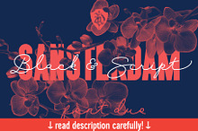 Sansterdam Black & Script