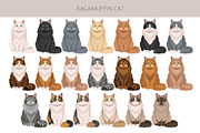 Ragamuffin cat clip art, an Animal Illustration by pet design shop (Thumbnail 3 of 5)