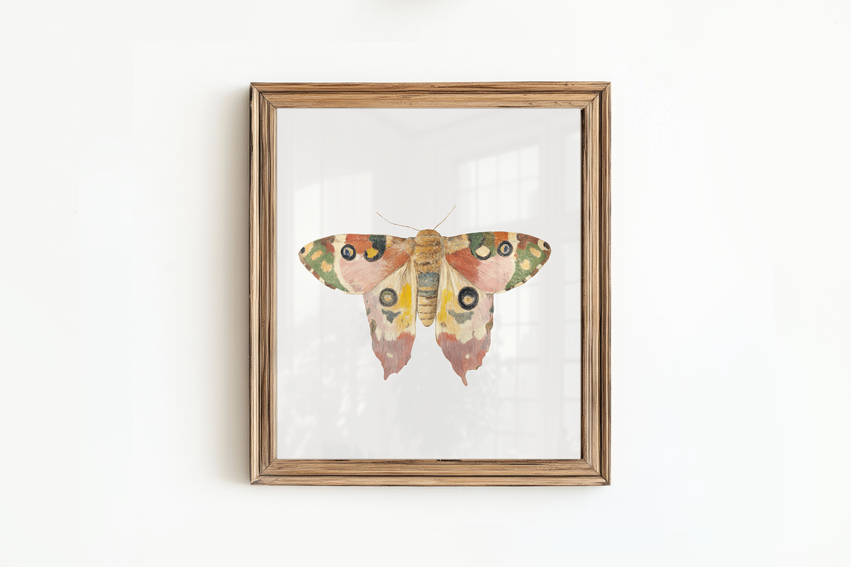70 Watercolor Luna Moth Clipart, an Animal Illustration by Digital Museum (Photo 3 of 7)