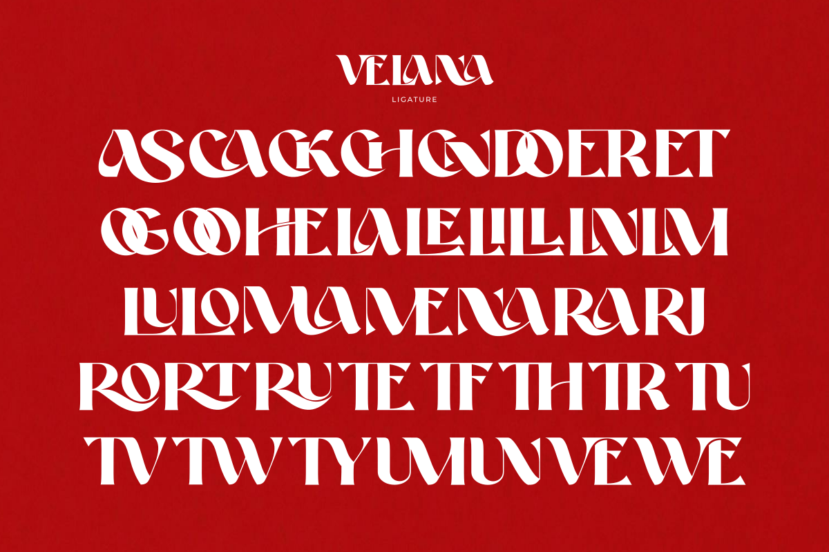 Velana, a Serif Font by zaaintype (Photo 7 of 10)
