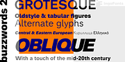 Analogue Pro, a Sans Serif Font by ingoFonts (Thumbnail 12 of 20)