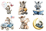 Cute Zebra Sublimation Clipart, an Illustration by Watercolor design (Thumbnail 3 of 5)