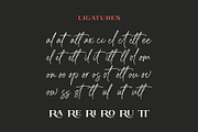 Brushine Collective Font, a Serif Font by trustha (Thumbnail 12 of 15)