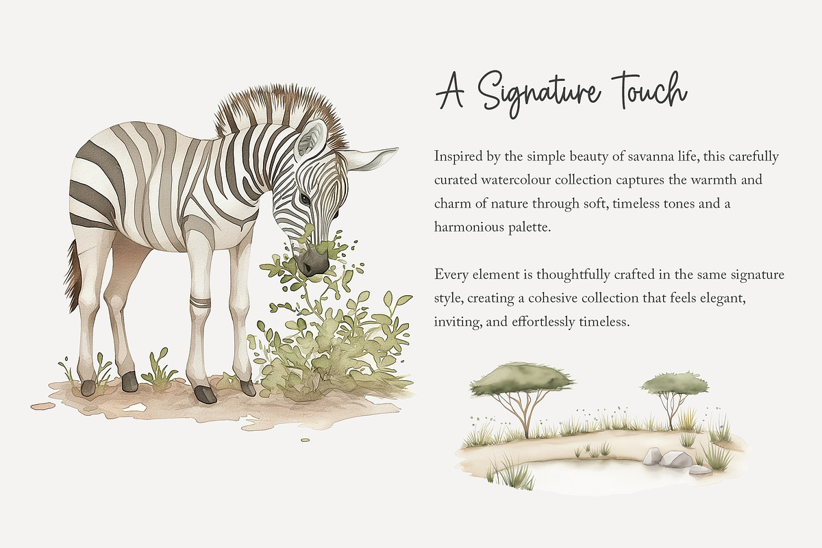 100 African savanna animals clip art, an Animal Illustration by Poppy Lane Studio (Photo 7 of 12)