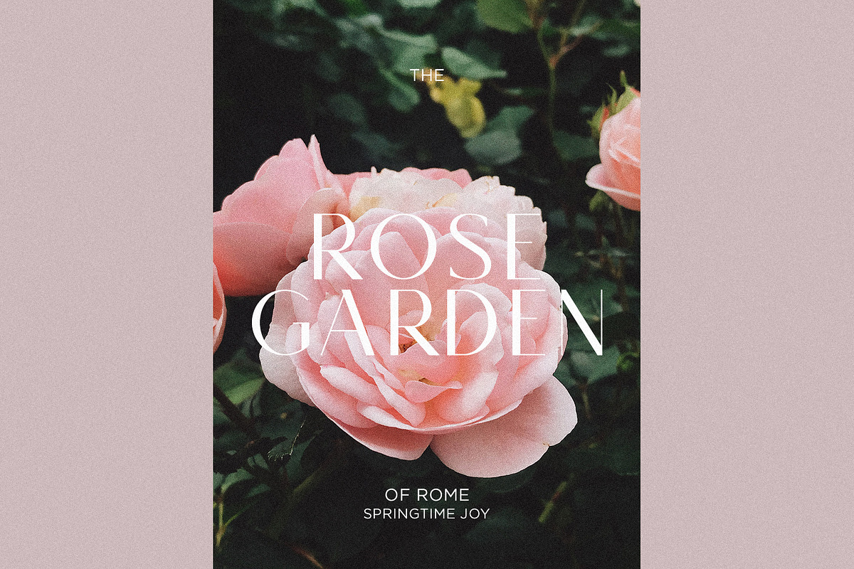 Monica - Classic & Elegant Sans, a Sans Serif Font by Mikhail Fukurou (Photo 8 of 12)