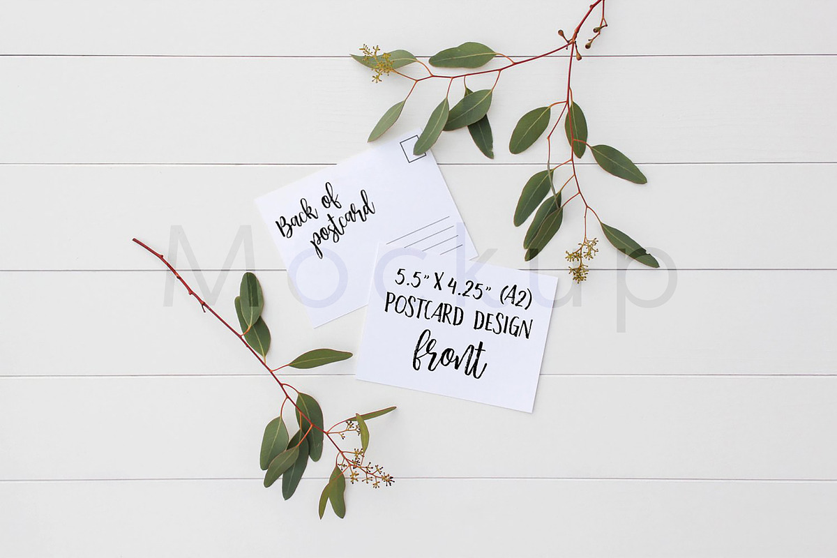 A2 Postcard Mockup - Eucalyptus 2, a Print Template by ILLONA GRAPHICS (Photo 3 of 5)