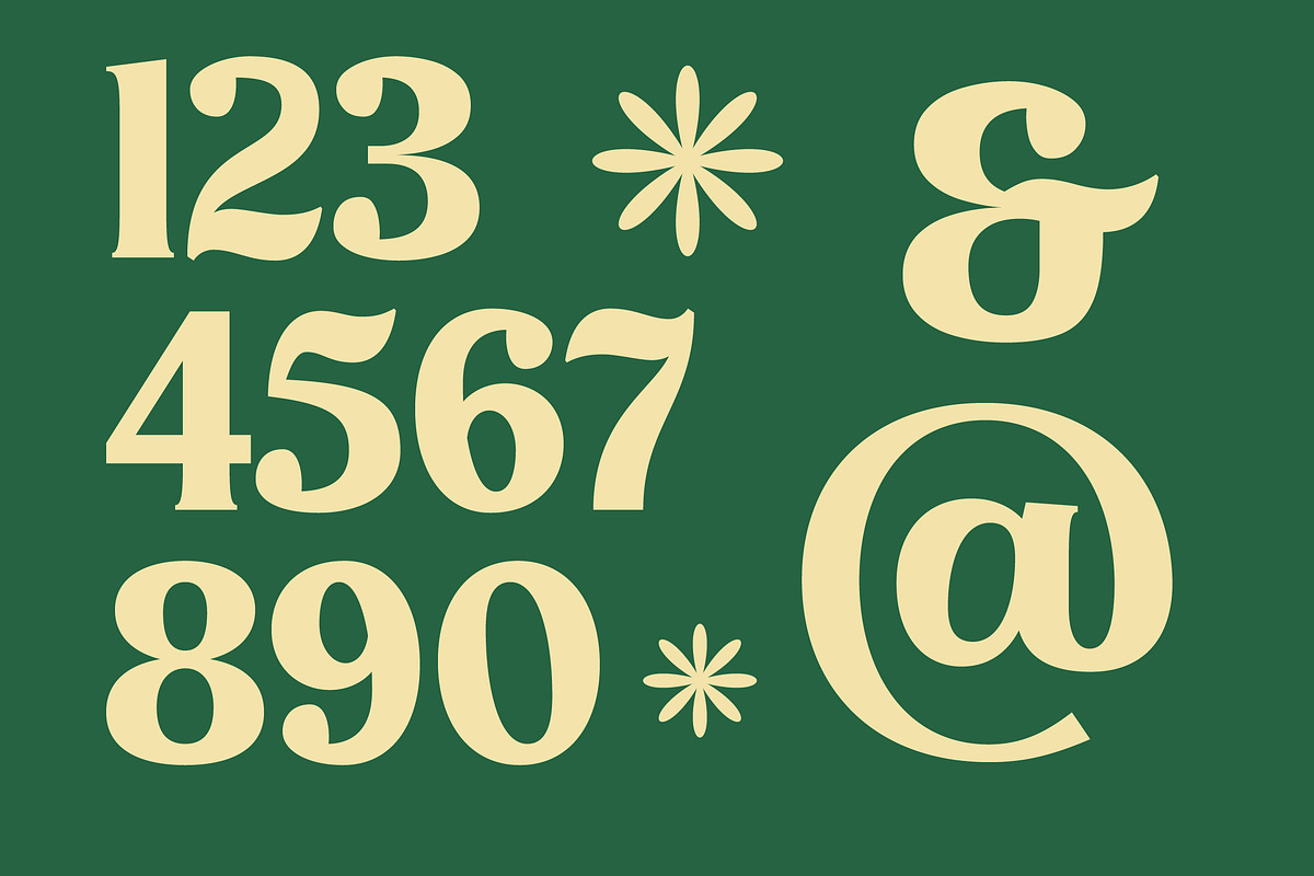 Milan Wulko Alternate Bold Serif, a Serif Font by timelesstype.co (Photo 5 of 20)