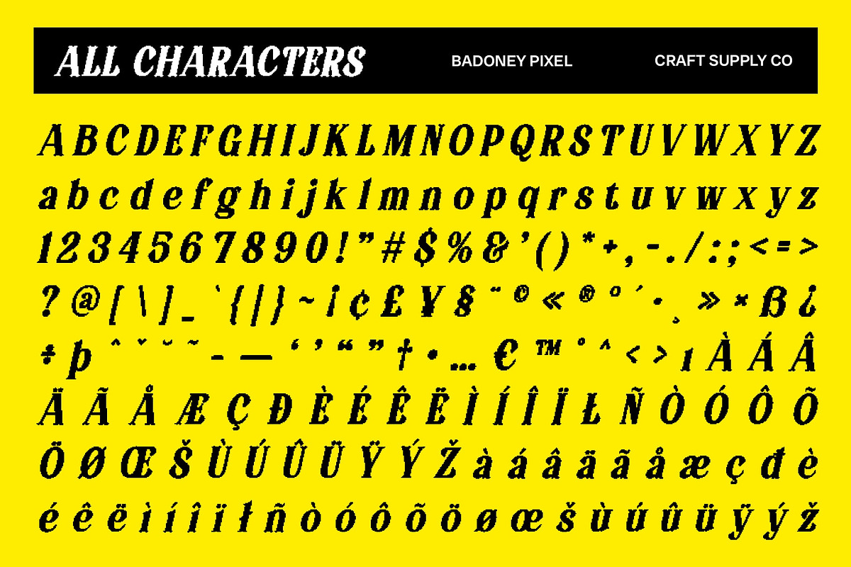 Badoney Pixel, a Serif Font by Craft Supply Co. (Photo 8 of 8)