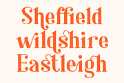Shafira, a Serif Font by Umitype (Thumbnail 5 of 16)