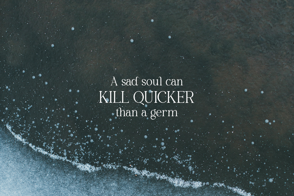 Salsify - Classic Thin Serif, a Serif Font by Pandeka Studio (Photo 11 of 12)