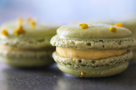 French pistashio macaron.