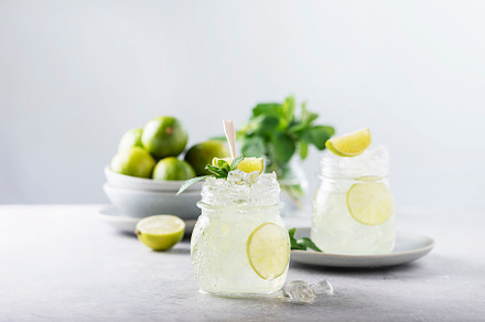 Mojito cocktail with lime featuring mohito, exotic, and light, a Food & Drink Photo by oxana.denezhkina