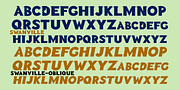 Swanville, a Font by Ingrimayne Type (Thumbnail 5 of 6)
