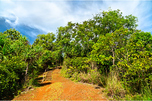 Trail to Badrulchau Stone Monoliths, a Nature Photo by Leonid Andronov