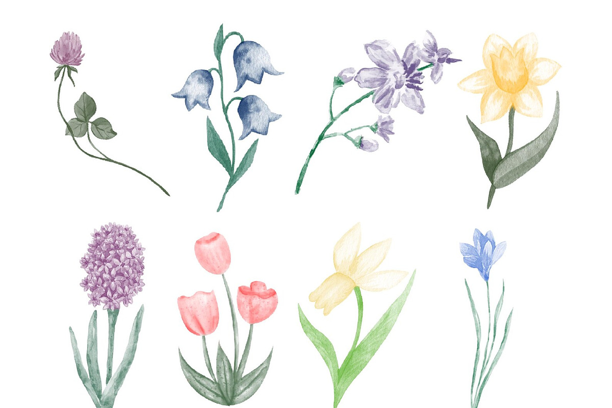 450+ NATURE PROCREATE STAMPS, a Brush Add-On by BeeRubby (Photo 4 of 10)