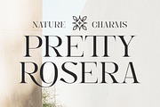 Angela Blissful - Modern Elegant, a Serif Font by Shakira Studio (Thumbnail 6 of 10)
