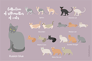46 Cats silhouettes clipart, an Illustration by Siriliadka Dreams (Thumbnail 3 of 6)