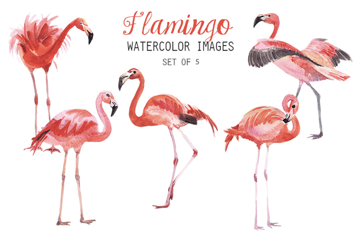 Watercolor Falmingo Clipart, an Illustration by YesFoxy