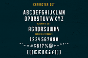 Courager Typeface (8 Fonts!), a Sans Serif Font by Martype (Thumbnail 4 of 9)