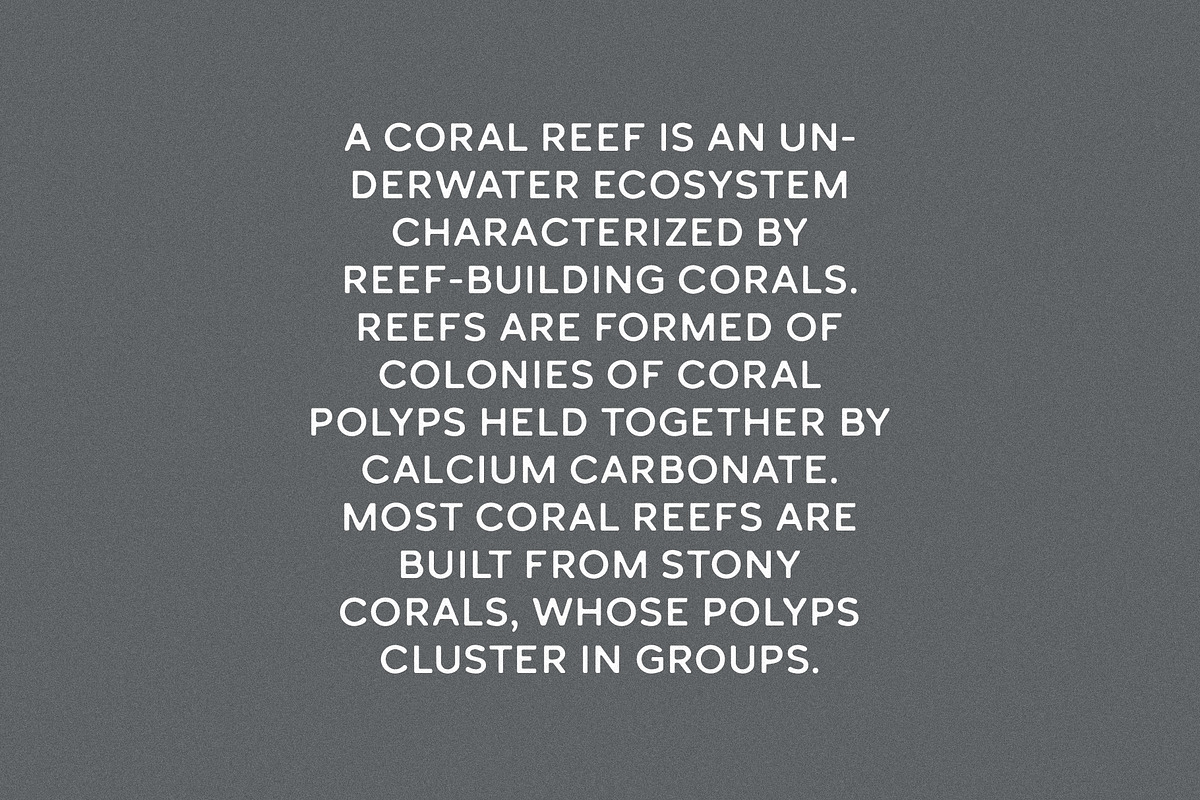 Coral&Reef - Vintage Sans Serif, a Sans Serif Font by Mikhail Kitsune (Photo 2 of 8)