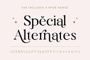 Roserri - Modern Ligature Serif, a Serif Font by Vesvocrea (Thumbnail 12 of 15)