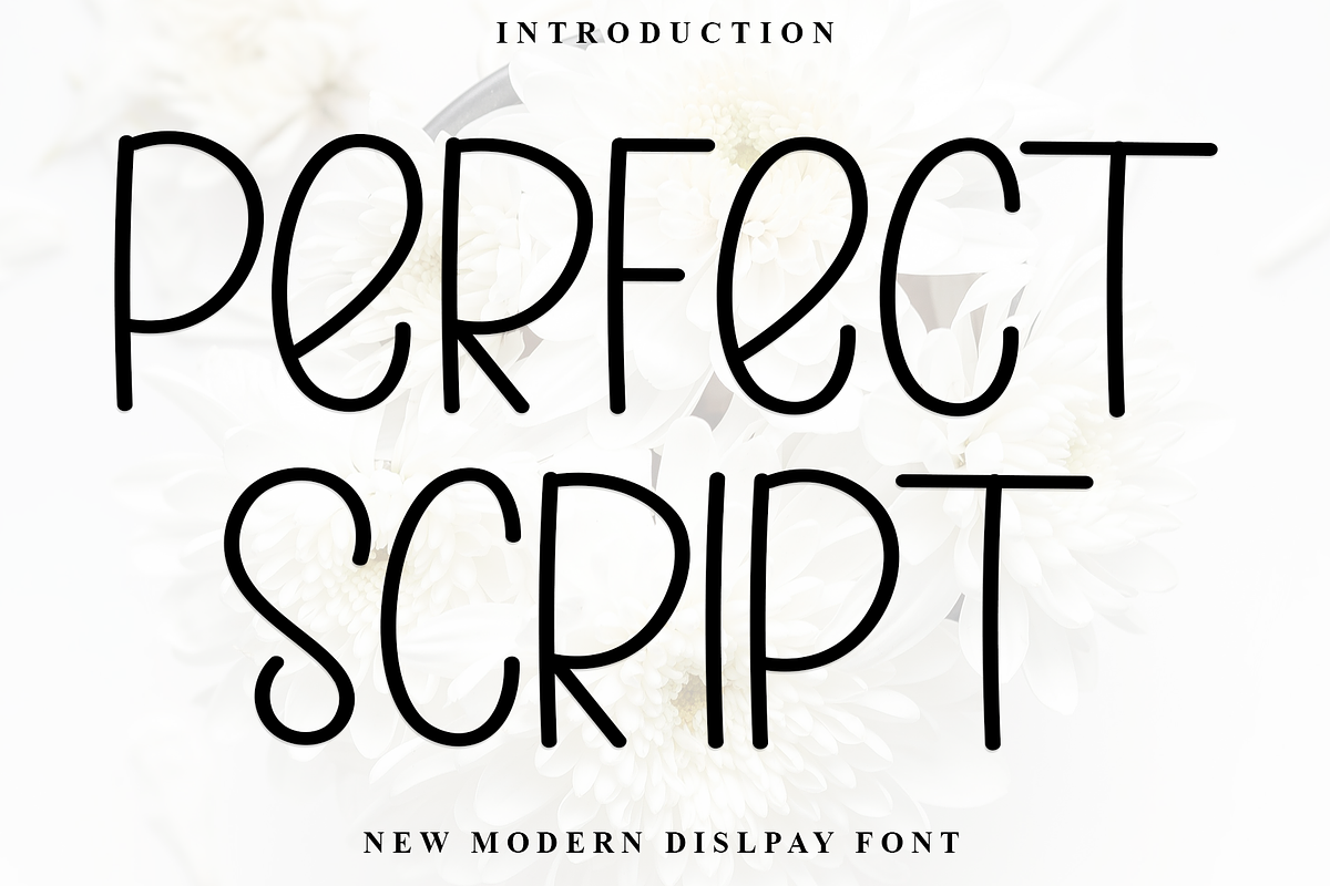 Perfect Script, a Serif Font by InermediaSTUDIO (Photo 1 of 8)