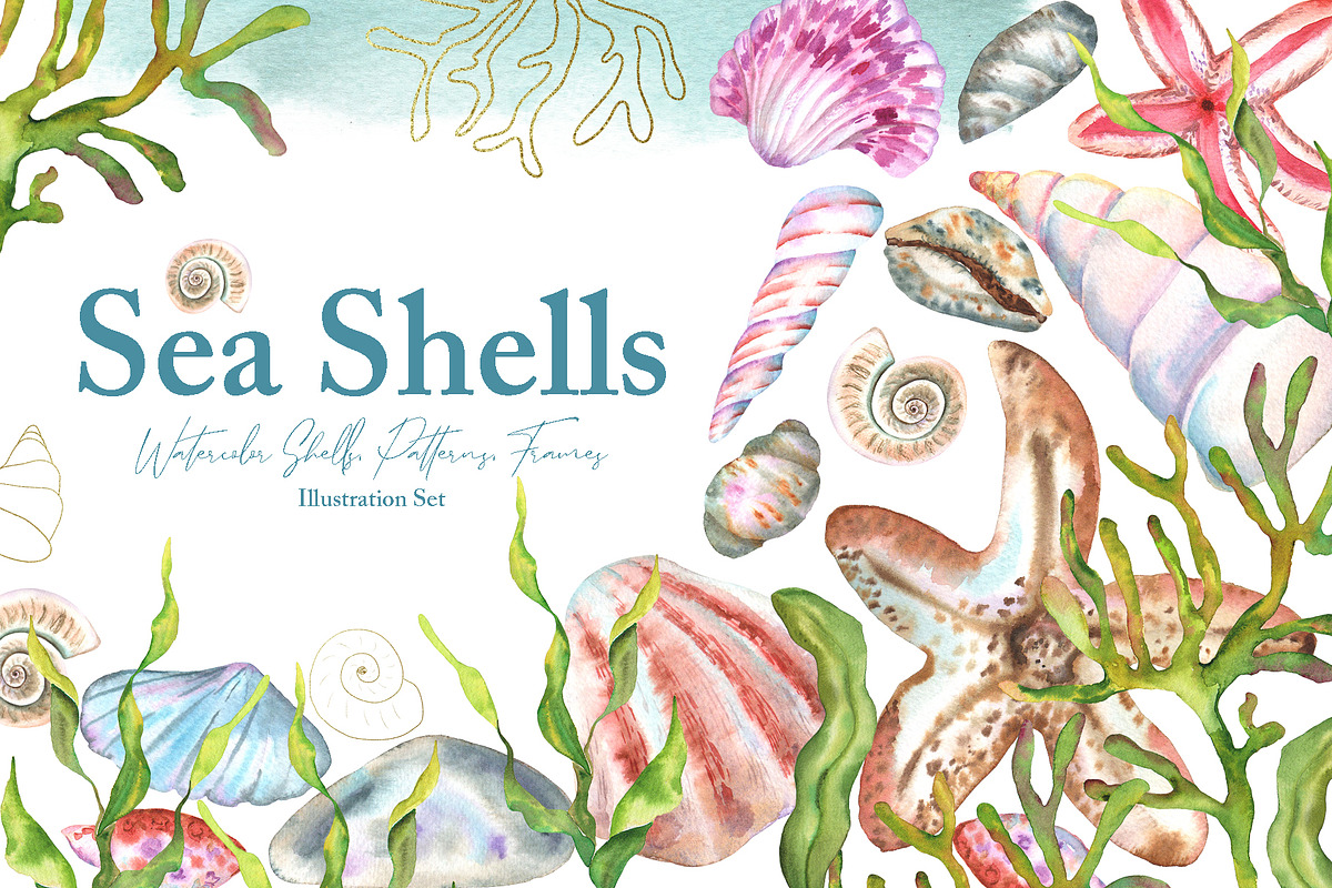 Watercolor Sea Shells Illustrations, a Work Illustration by TanataDesign (Photo 1 of 10)