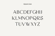 ERIAL | Simple Luxury Serif Font, a Sans Serif Font by WhymoreArt (Thumbnail 9 of 11)