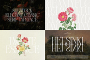 Headline Serif Font Bundle, a Serif Font by Mahesans Co (Thumbnail 4 of 25)