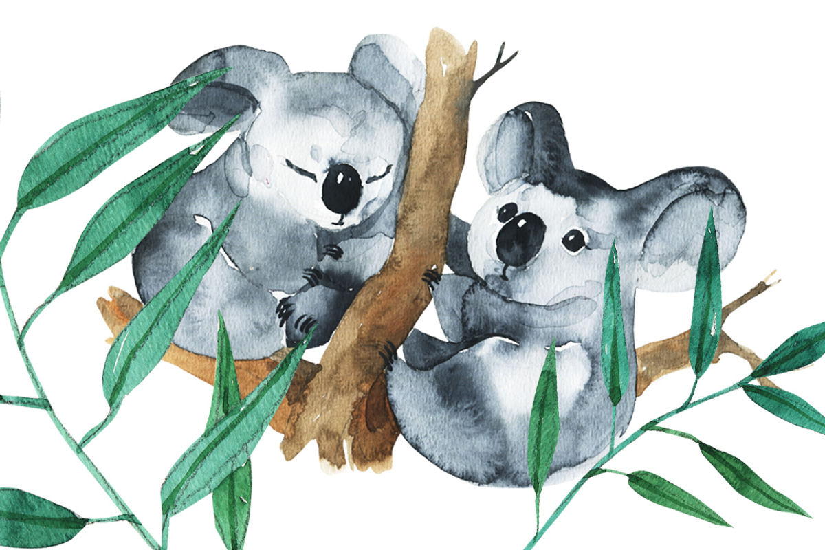 Australian Mainland-illustration set, an Animal Illustration by KatBranchArt (Photo 4 of 5)