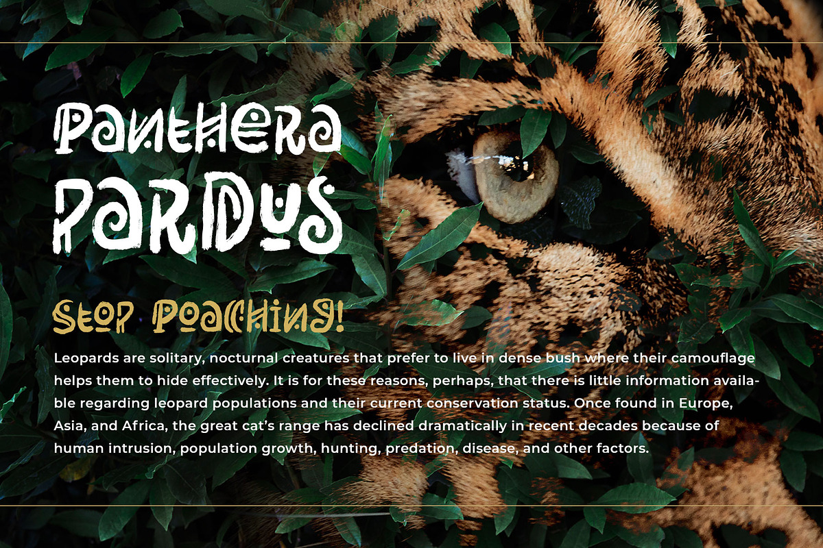 Rimba Andalas, a Font by Arterfak Project (Photo 8 of 11)