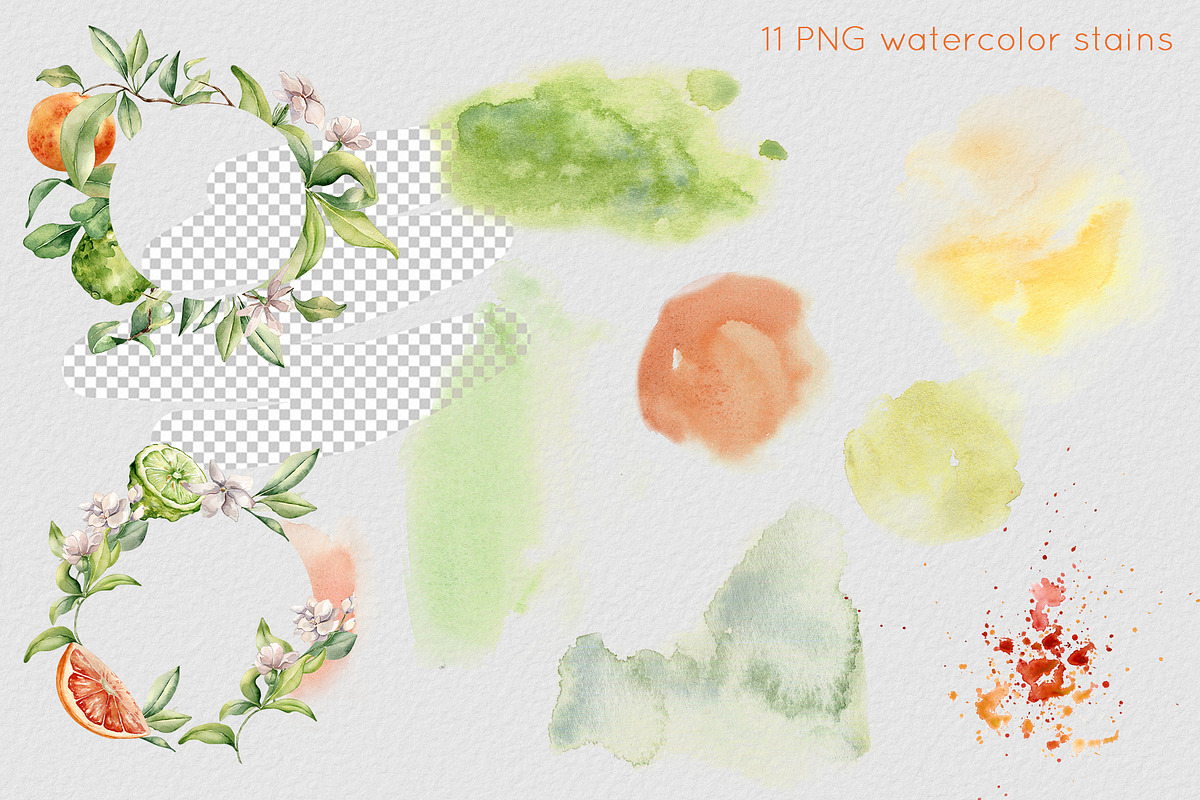 Citrus fruits and flower watercolor, a Decorative Illustration by Kate Lanbina (Photo 12 of 20)