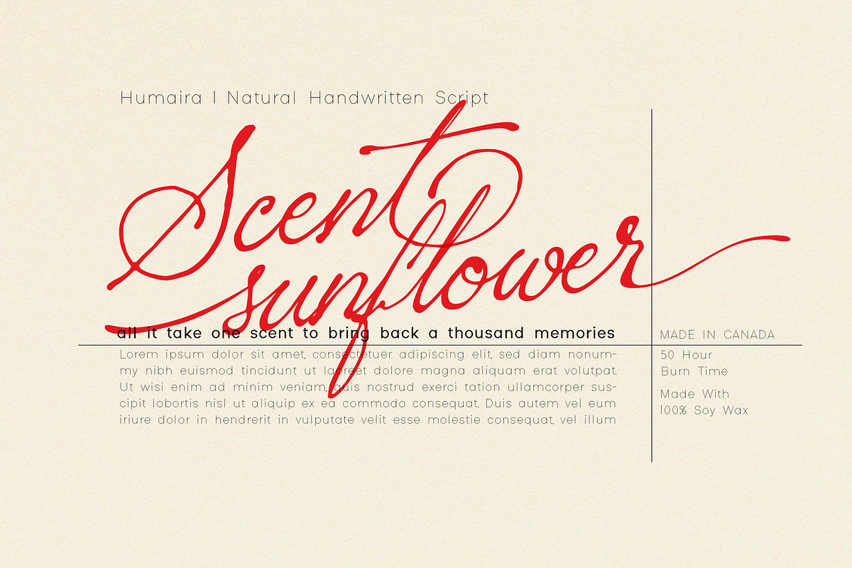 Sacred Letter - Natural Script, a Script Font by Ridha-38.lineart (Photo 3 of 12)