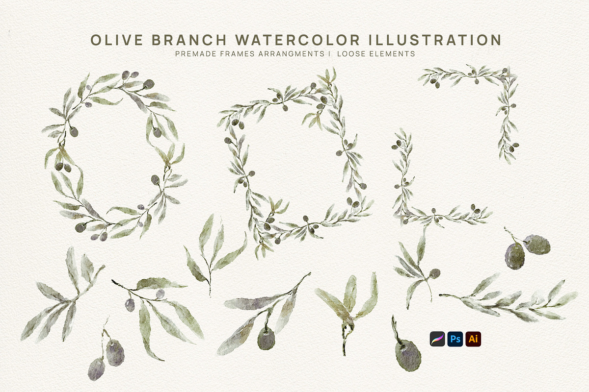 Olives Branches Watercolor, a Seasonal Illustration by slowlivecreate (Photo 4 of 5)