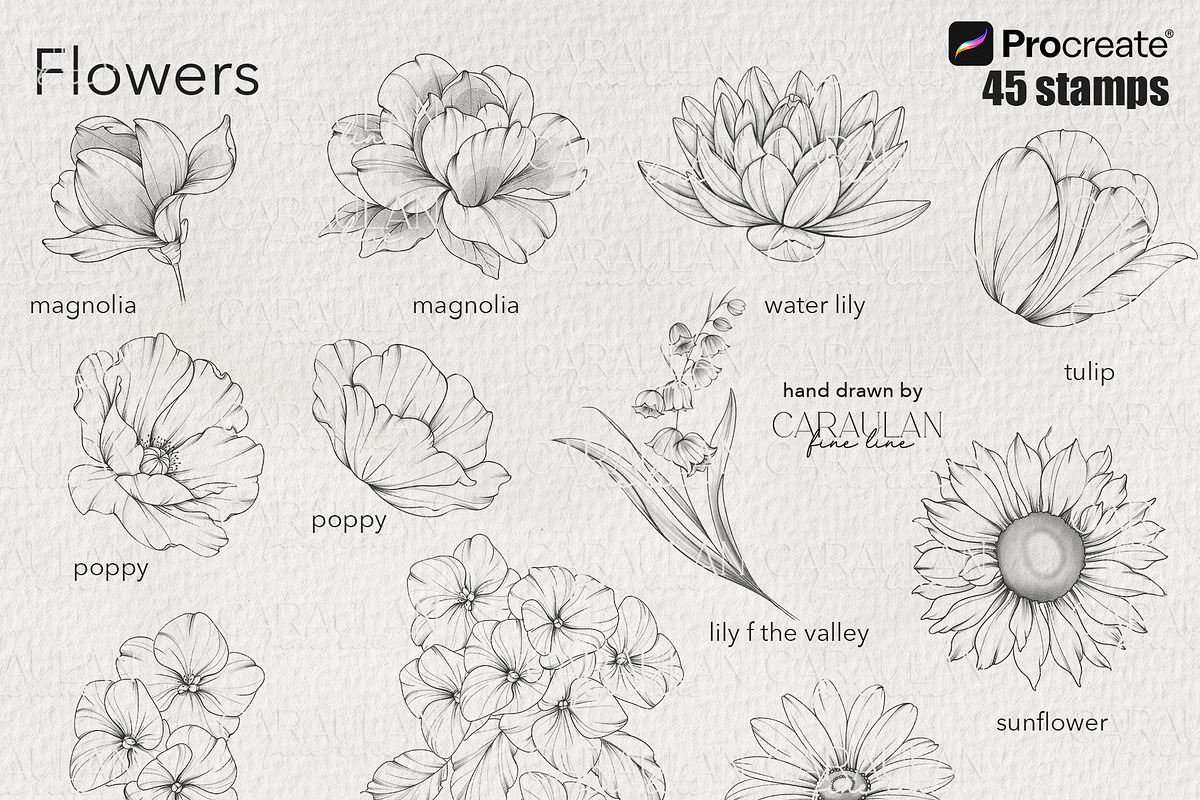 Floral Tattoo Essentials, a Brush Add-On by CaraulanStore (Photo 2 of 8)