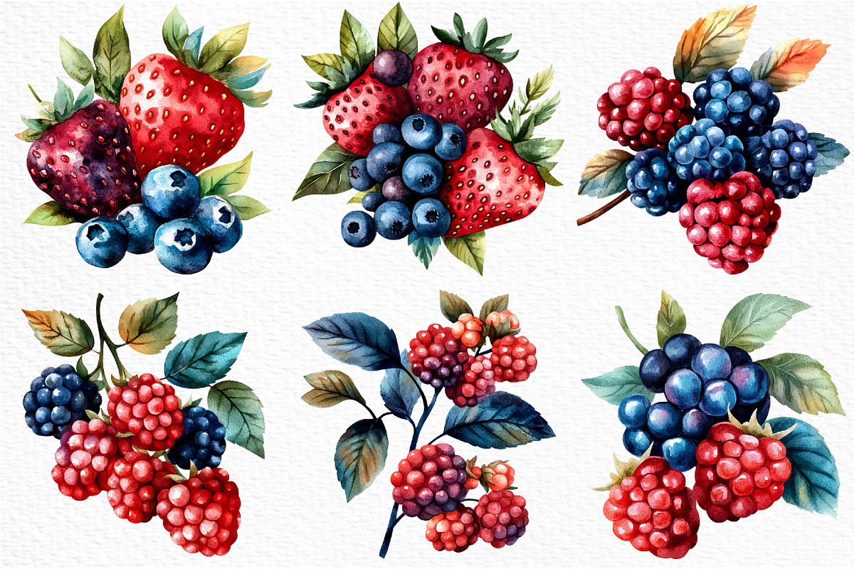 Watercolor Berries Clipart, an Illustration by Craft Nest (Photo 3 of 12)