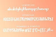 Ladonna Brush Font, a Script Font by CaseyKleeb (Thumbnail 3 of 4)