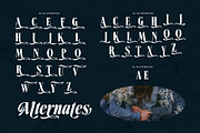 Demarun Font, a Serif Font by alit design (Thumbnail 9 of 20)