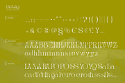 Trendy & Modern Fonts 2 - 10 Sets, a Font by Cruzine (Thumbnail 23 of 42)