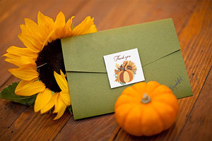 Autumn Pumpkins Sunflowers Clipart