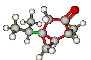 Thujone, compound with menthol odor,, an Illustration by Leonid Andronov