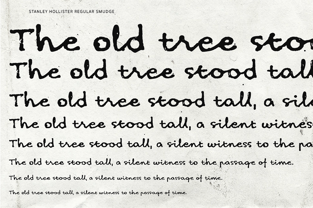 Stanley Hollister - Premium Bundle, a Handwritten Font by Punch (Photo 8 of 8)