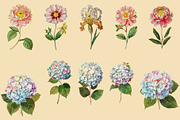 Vintage Flowers Digital Collage Pack, an Illustration by DigitalDesignAI (Thumbnail 7 of 9)