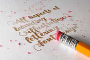 Dorae Script TureType Font, a Script Font by alphadesign (Thumbnail 2 of 4)