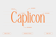 TBJ Malta 9-Font Family, a Serif Font by Taboja Studio (Thumbnail 6 of 16)