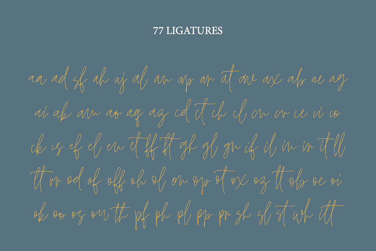 HAMILTON SIGNATURE font, a Handwritten Font by supfonts (Photo 4 of 9)
