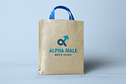 Alpha Arrow Logo, a Branding & Logo Template by Azqaa (Thumbnail 2 of 4)