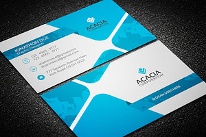 Ayna Business Card