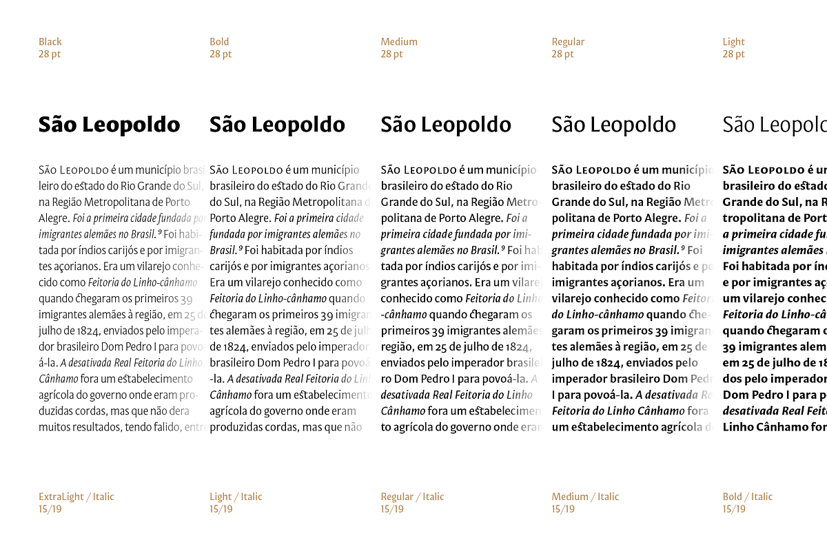 Mestiza Sans, a Sans Serif Font by Lechuga Type (Photo 12 of 19)