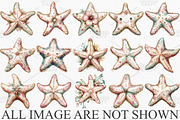 Whimsical Summer Starfish Clipart, an Illustration by Canvas Craft (Thumbnail 3 of 7)